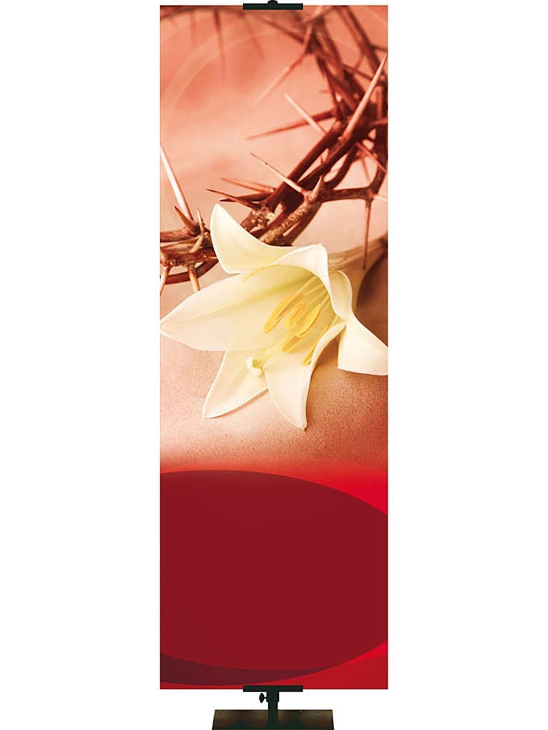 Custom Banner Passion of Christ The Way The Truth The Life