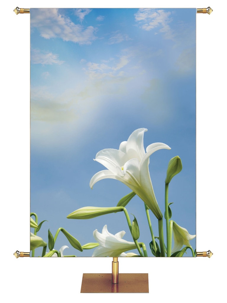 Custom Banner Contemporary Easter He Who Believes