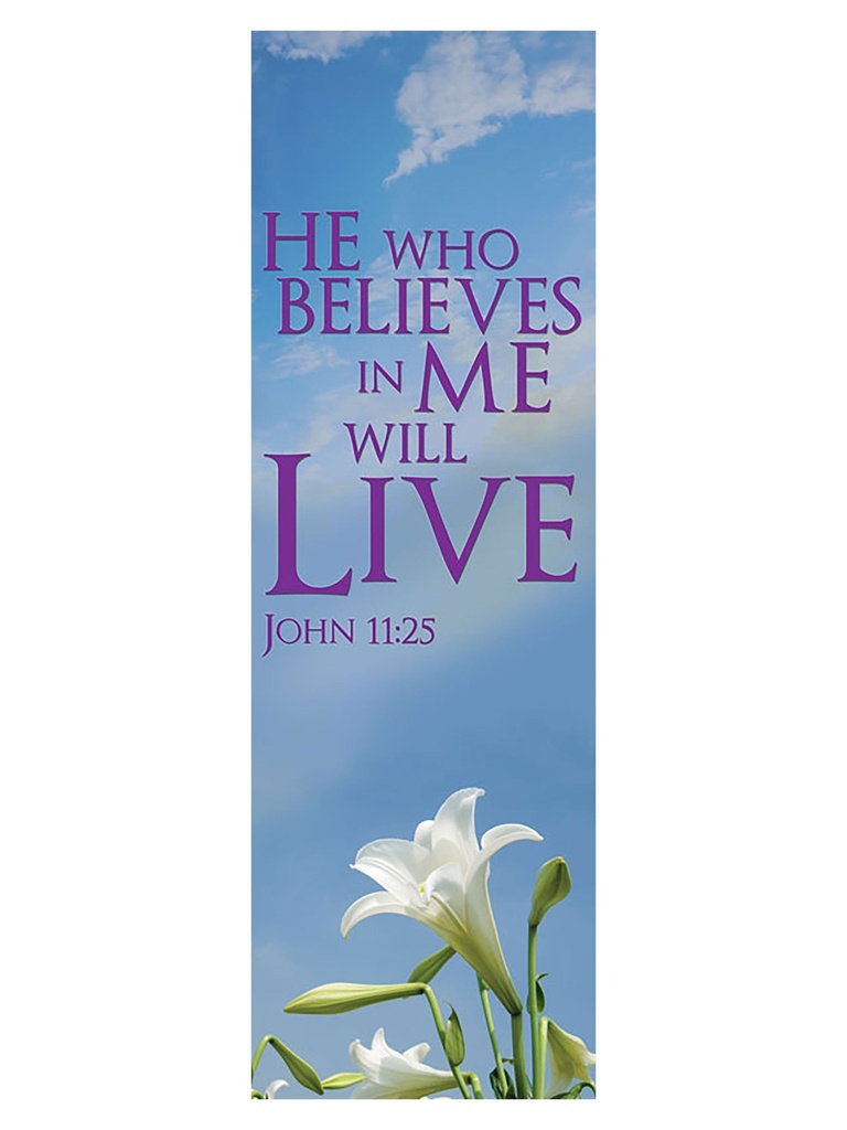 Scripture Wall Hanging He Who Believes Contemporary Easter