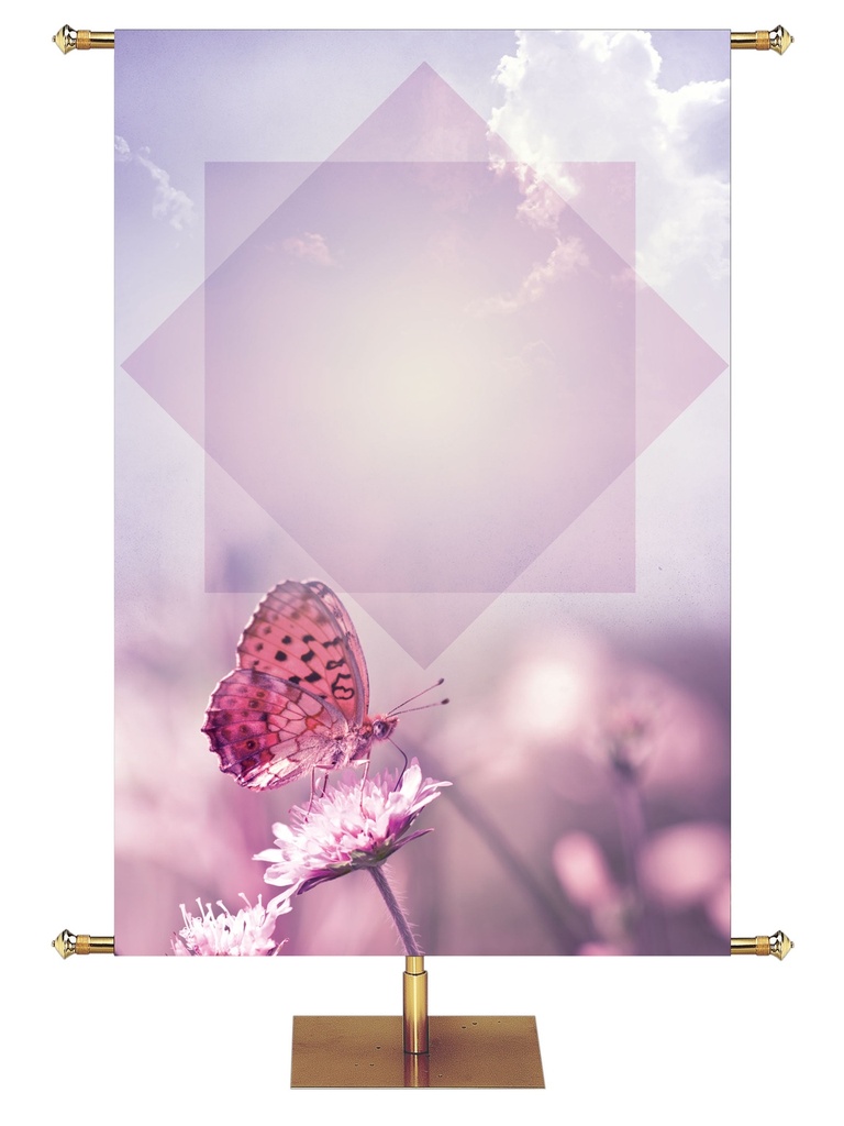 Custom Banner Contemporary Spring Butterfly New Song
