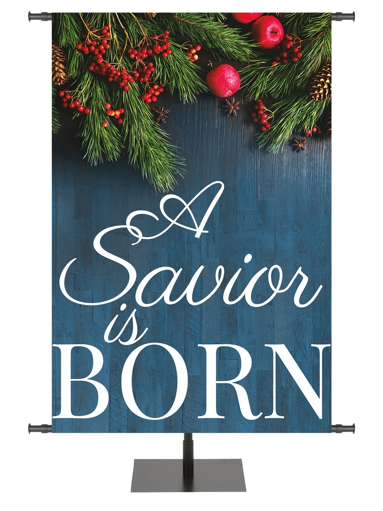 The Heart of Christmas A Savior Is Born