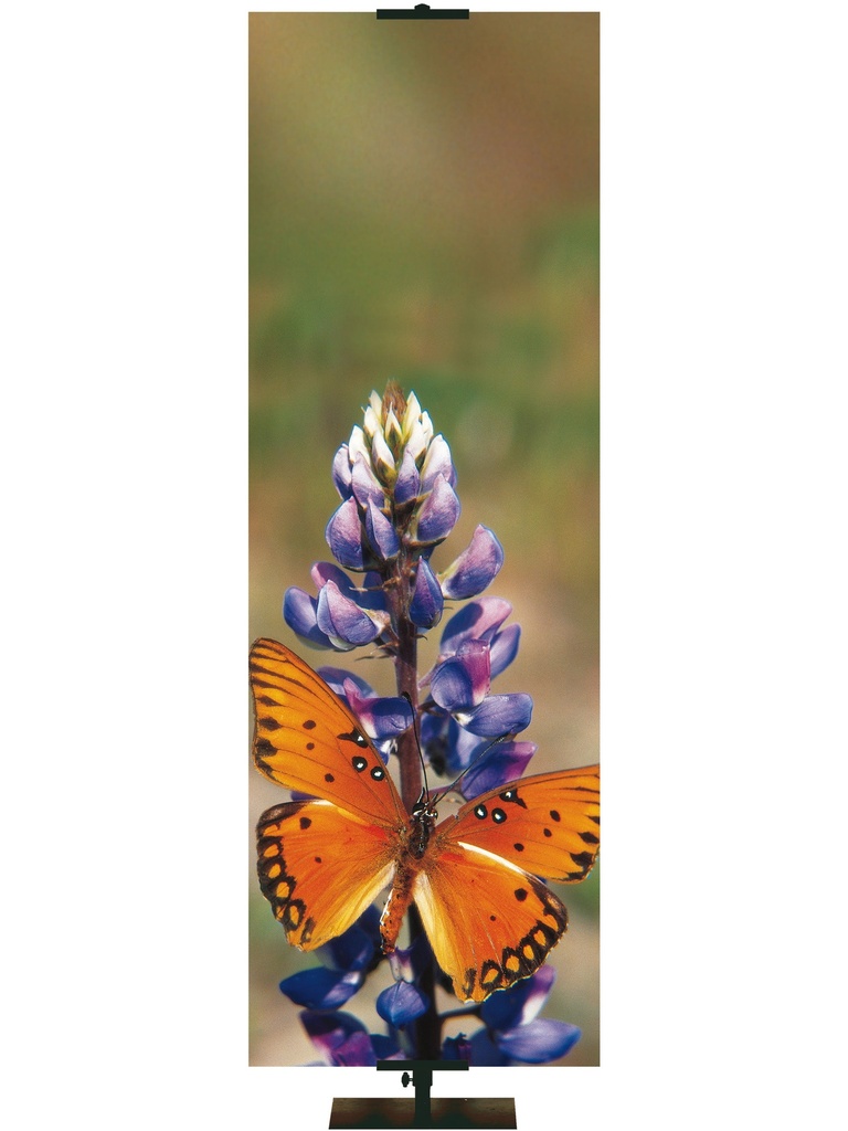 Custom Banner Welcome Butterfly