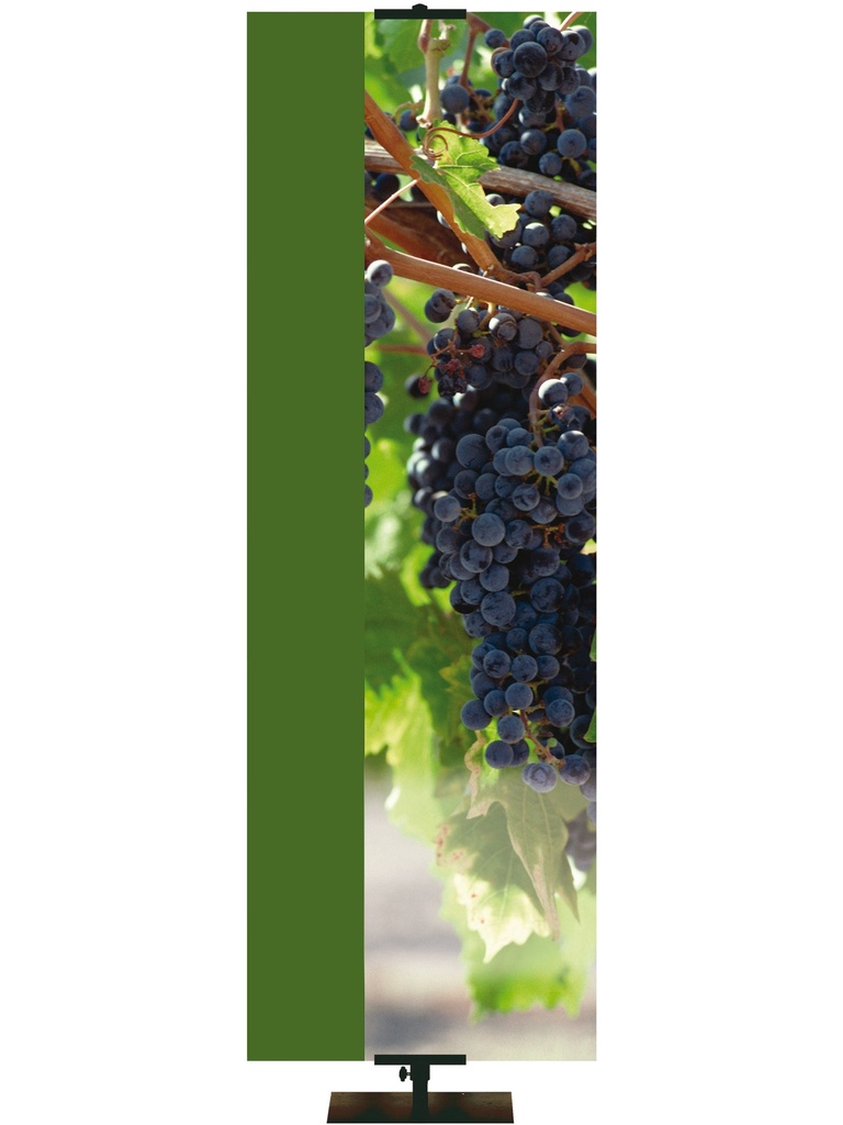 Custom Banner Welcome Grapes