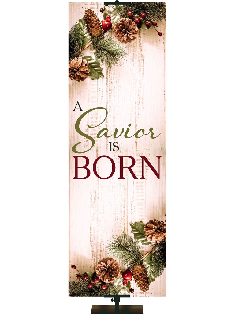 Heartland Christmas A Savior is Born