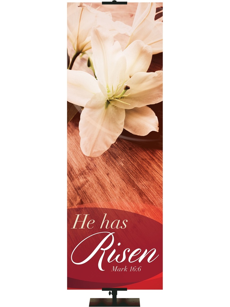 Passion of Christ He Has Risen