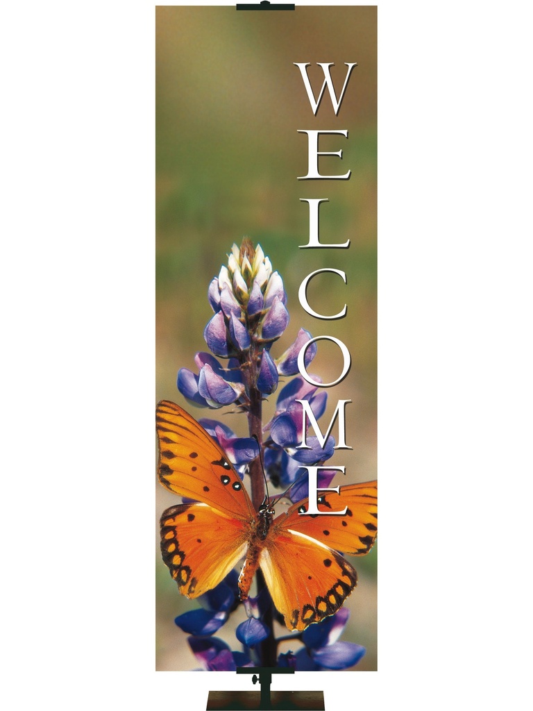 Stock Welcome Banner Butterfly