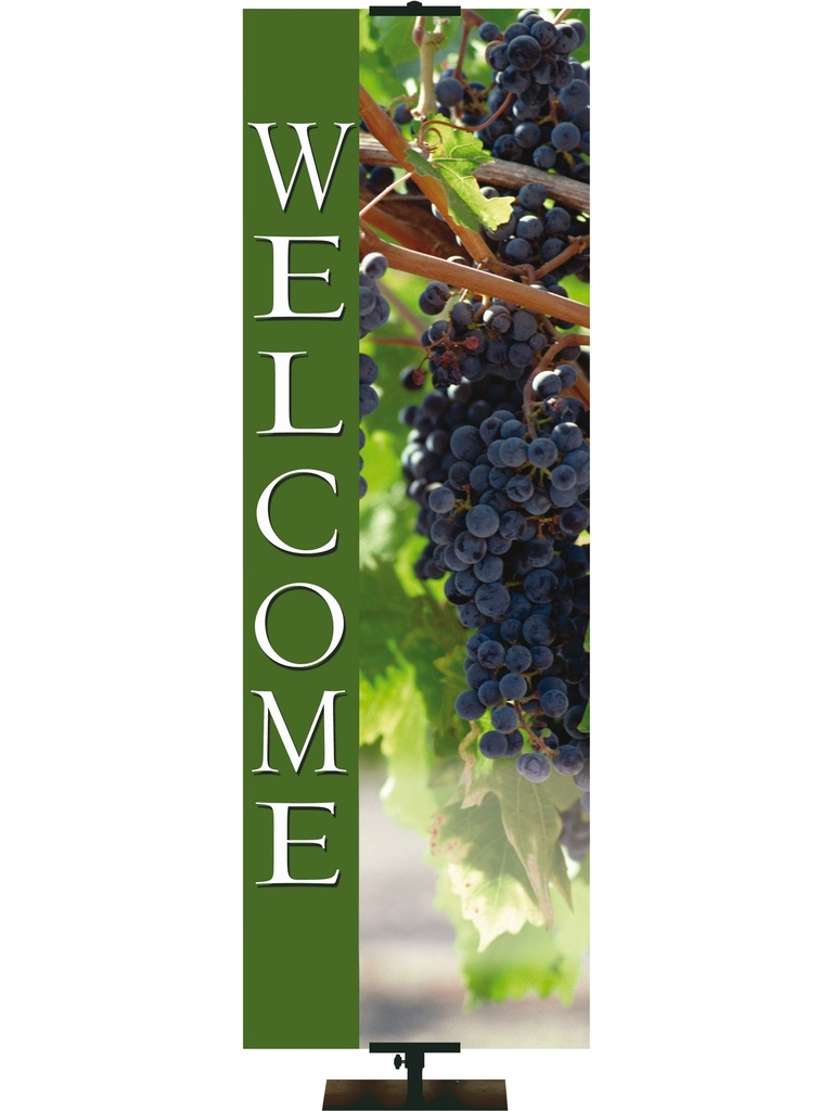 Stock Welcome Banner Grapes