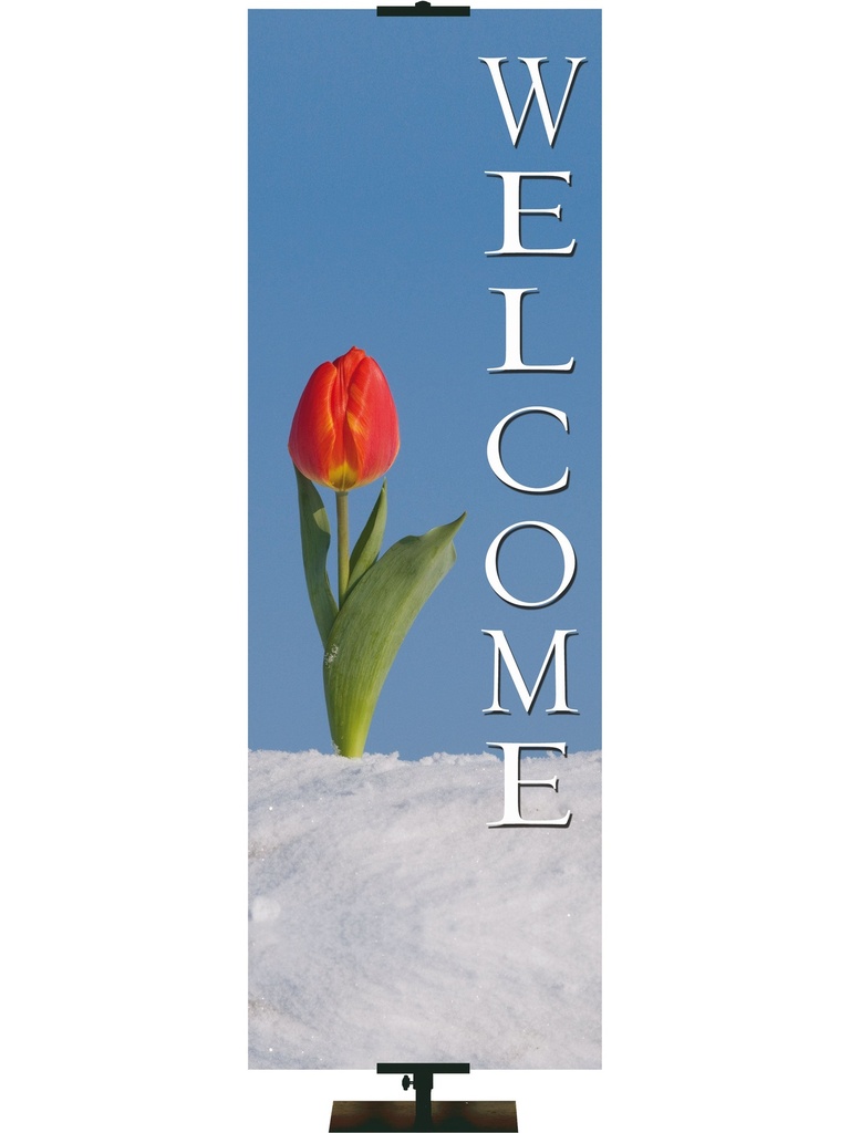 Stock Welcome Banner Tulip in Snow