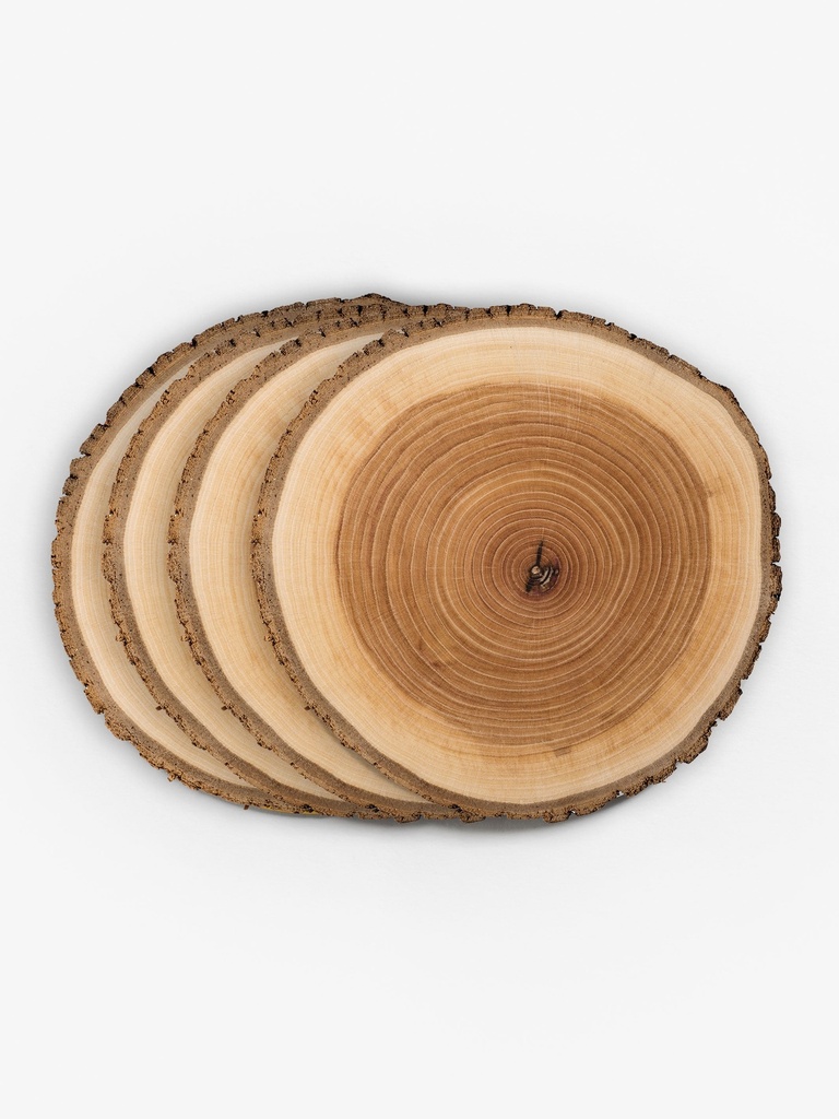 Tree Rings Vinyl Coasters (Set of 4)