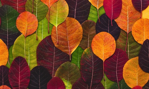 [VK-LVG] Leaves Galore Vinyl Kitchen Mat